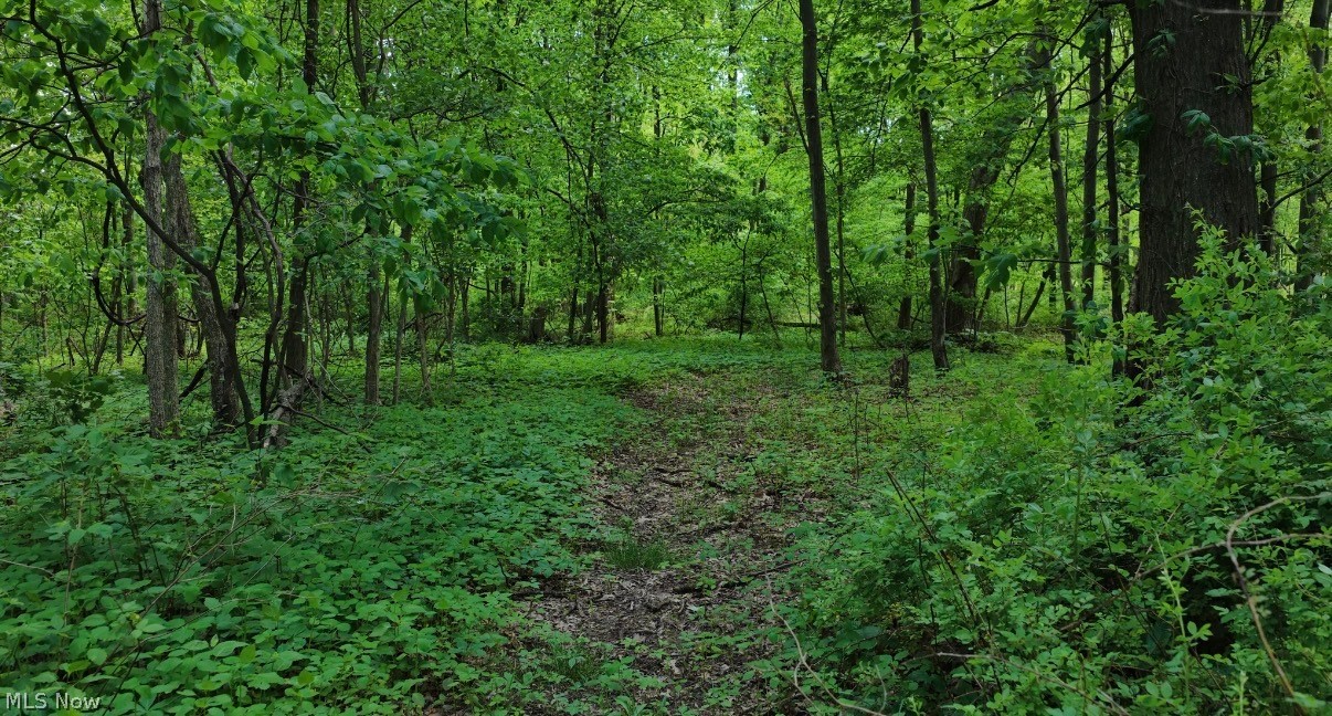 1235 Township Road 353 Ashland OH 44866