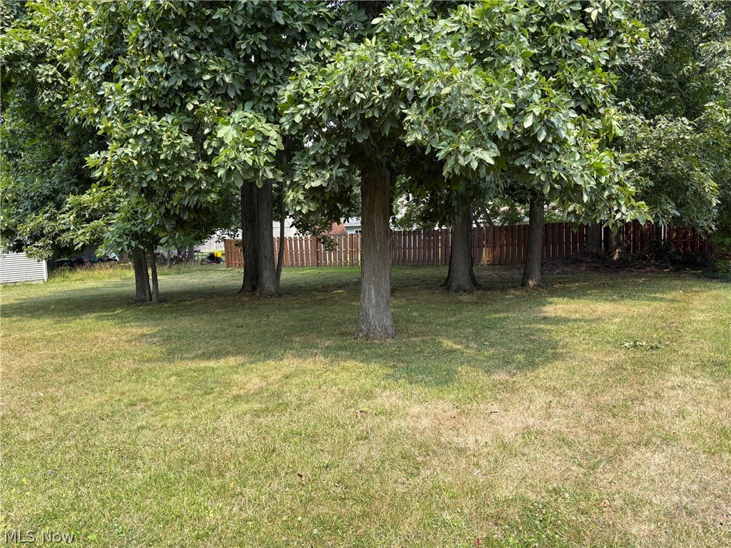 1661 Dannley Drive Brunswick OH 44212