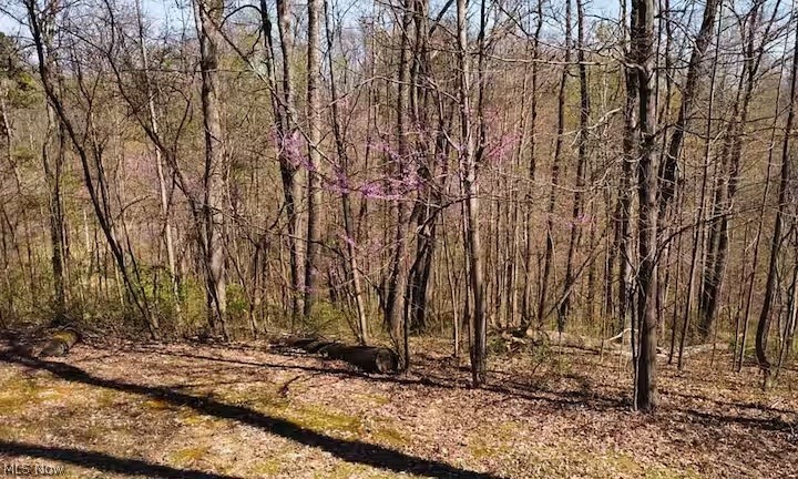 22916 Sam's Creek Road Laurelville OH 43135