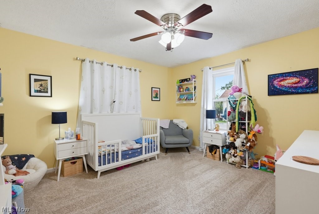 2350 Congo Street Akron OH 44305