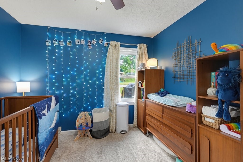 2350 Congo Street Akron OH 44305