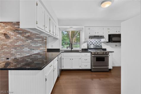19029 Hunters Pointe Drive Strongsville OH 44136