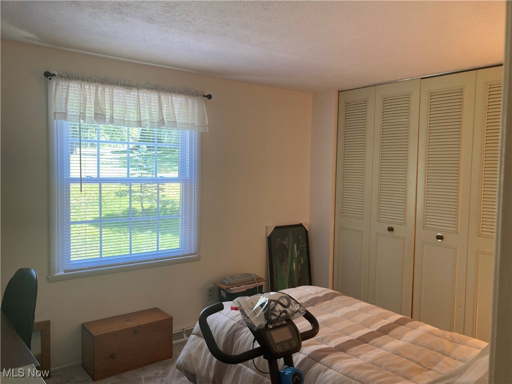 4929 Debbie Drive Medina OH 44256