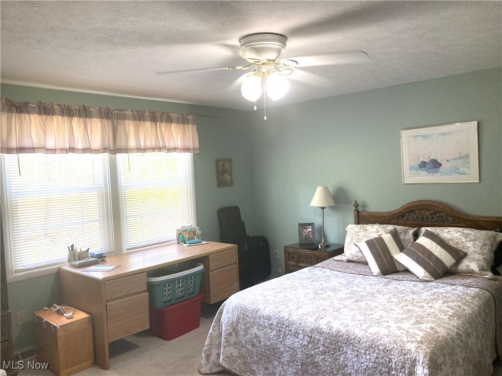 4929 Debbie Drive Medina OH 44256