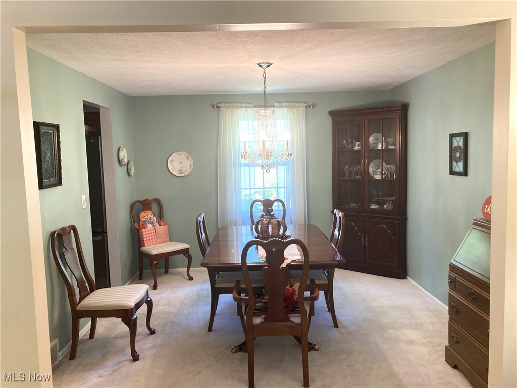 4929 Debbie Drive Medina OH 44256