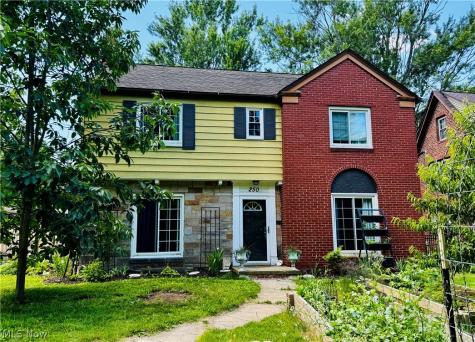 250 Malden Street Akron OH 44313