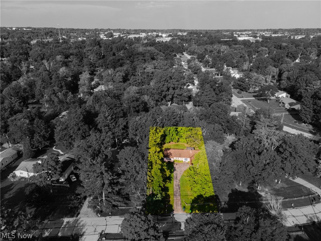 734 Kenwood Drive Mayfield Village OH 44040