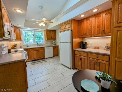 907 Circlewood Drive Aurora OH 44202