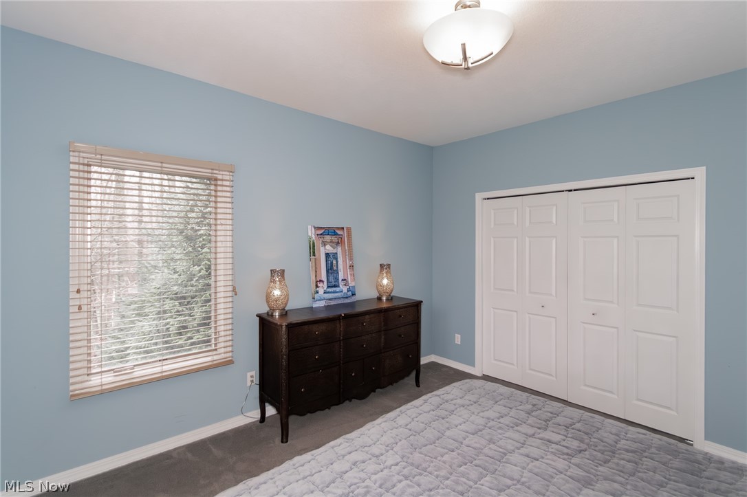 11565 Robin Wood Lane Chagrin Falls OH 44023