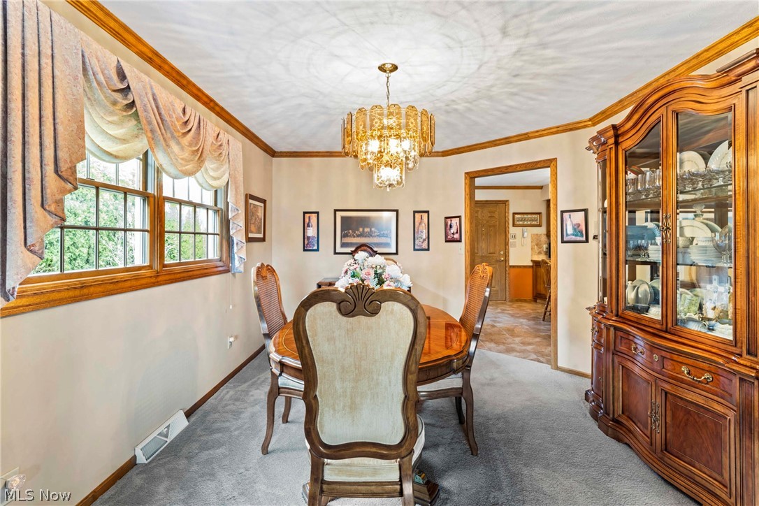 551 E Regency Circle Canfield OH 44406