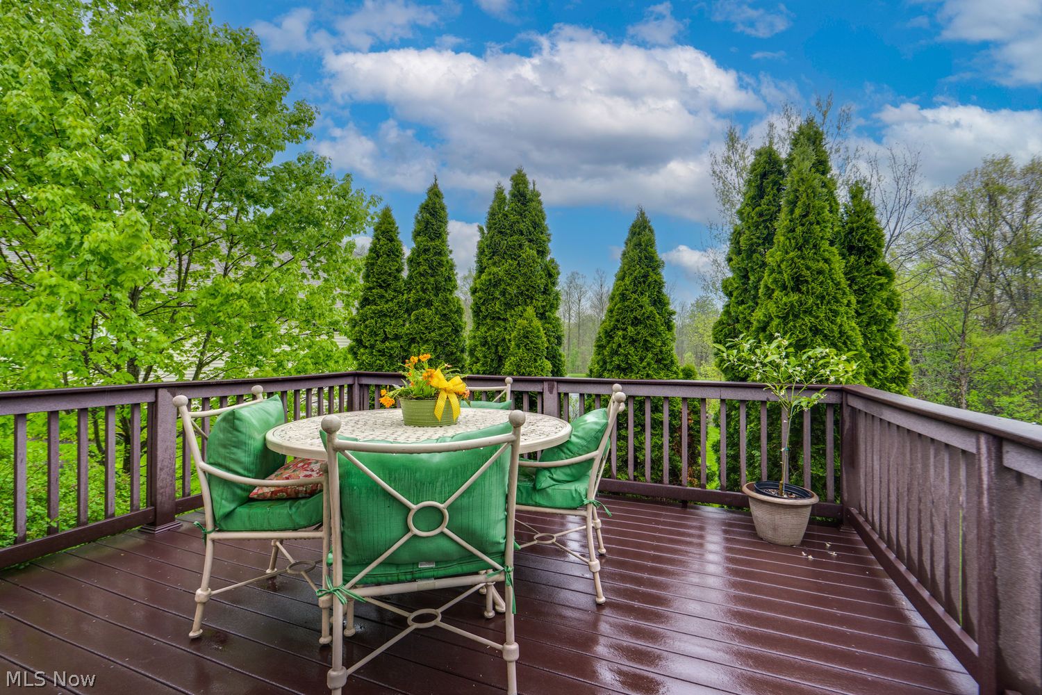 4457 Forest Lake Court Stow OH 44224