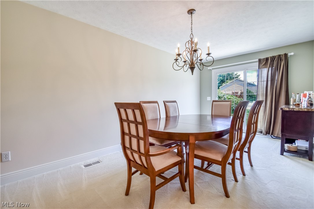 128 Stacey Court Madison OH 44057