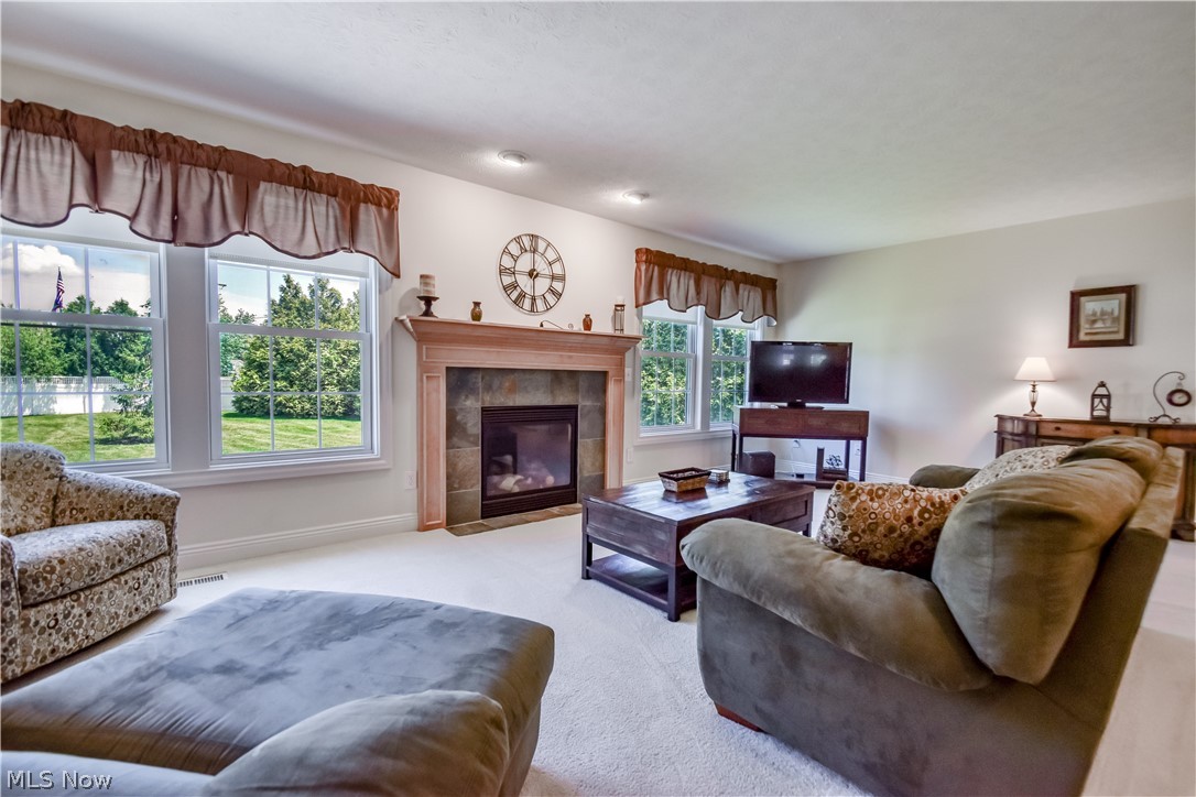 128 Stacey Court Madison OH 44057