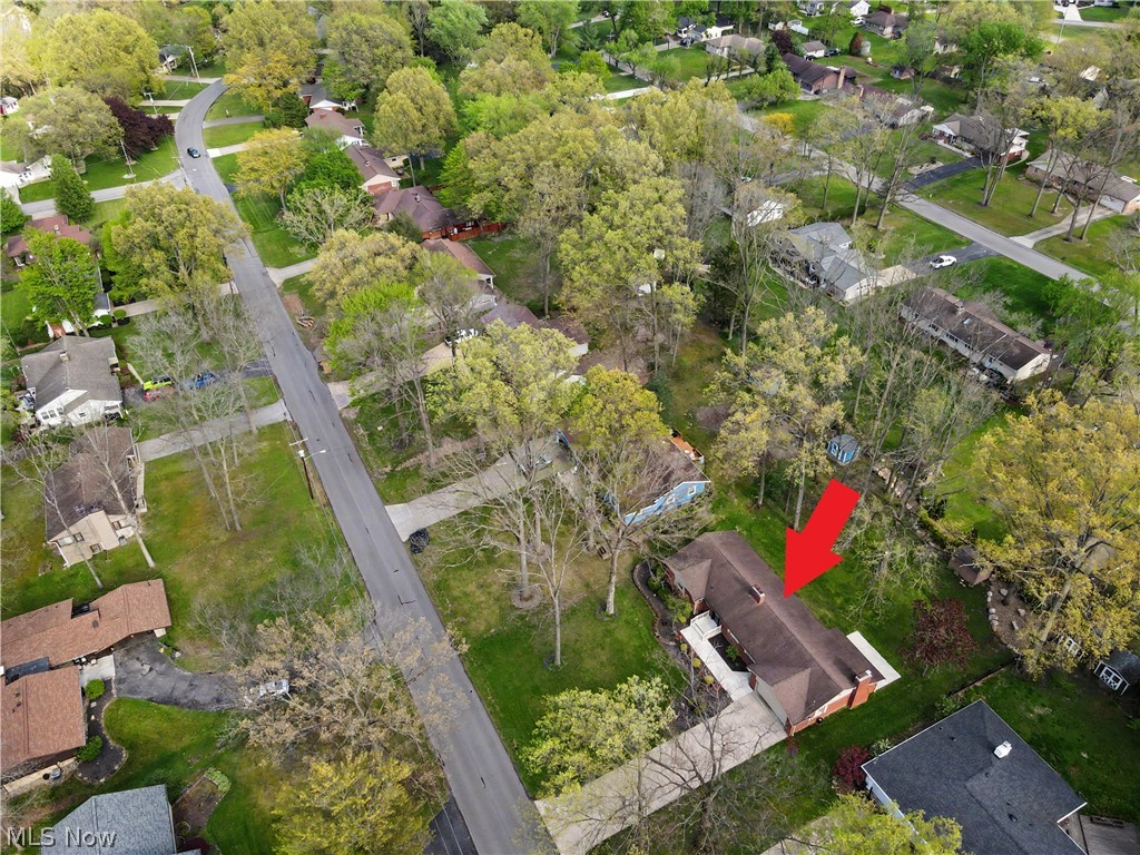 295 Sleepy Hollow Drive Canfield OH 44406