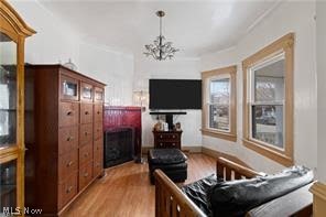 1544 Wyandotte Avenue Lakewood OH 44107