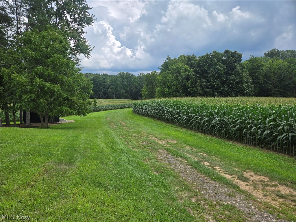 24175 State Route 58 Wellington OH 44090