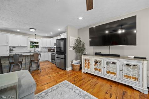 1193 Elm Street Grafton OH 44044