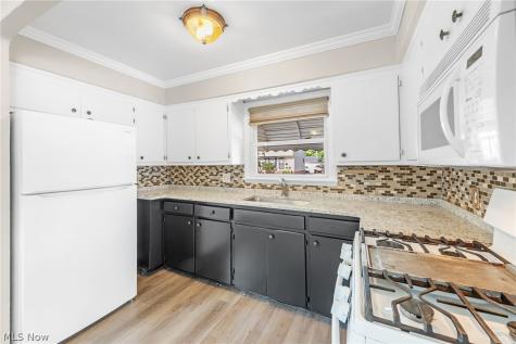 1653 Woodhurst Avenue Mayfield Heights OH 44124