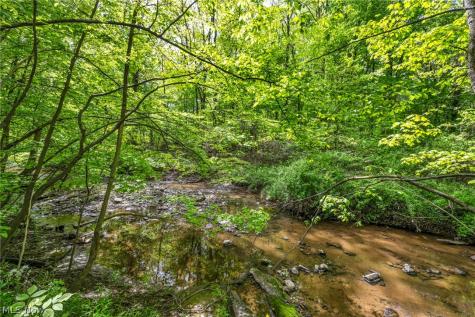 11259 Robson Road Grafton OH 44044