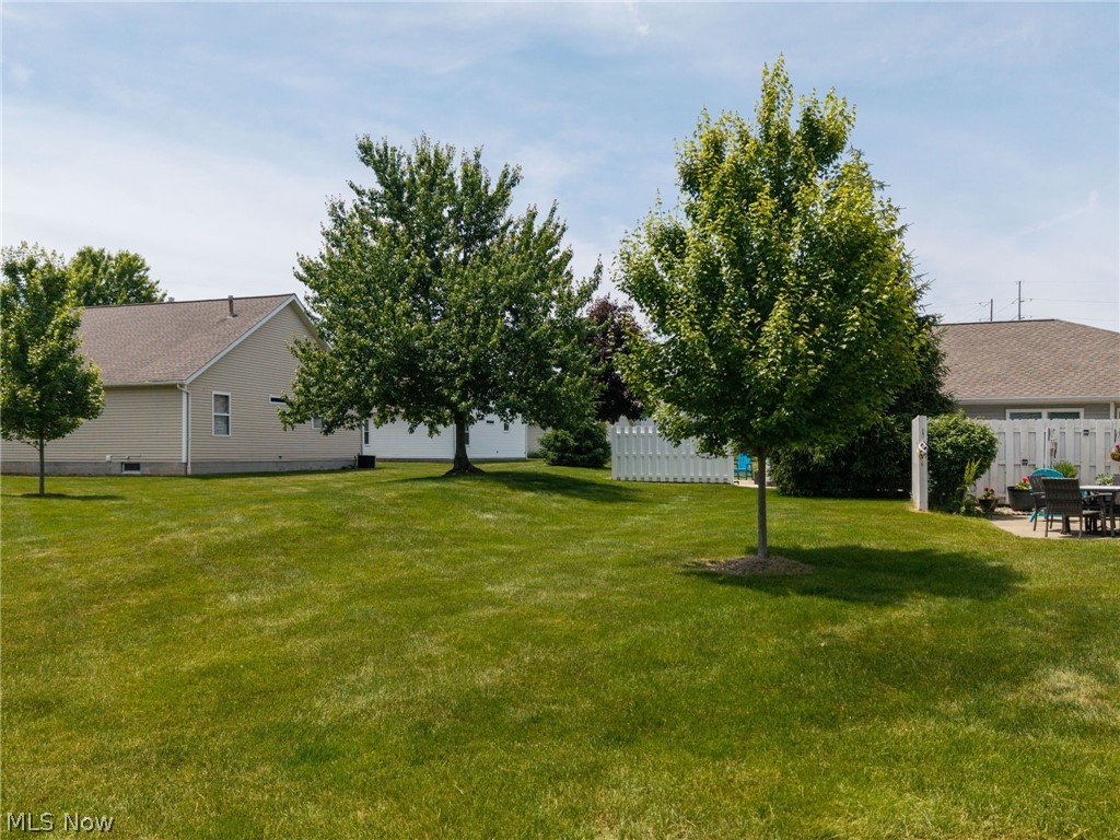 3894 Dartford Lane Medina OH 44256