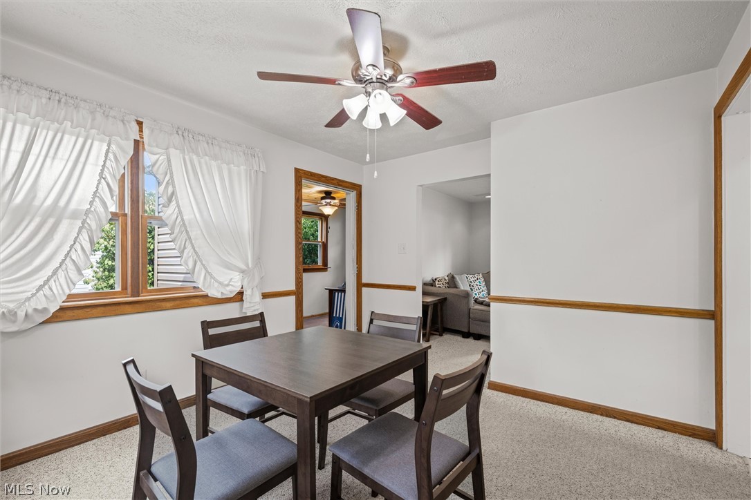 135 N Middle Street Columbiana OH 44408
