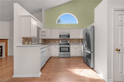 9097 Fern Cove E Olmsted Falls OH 44138