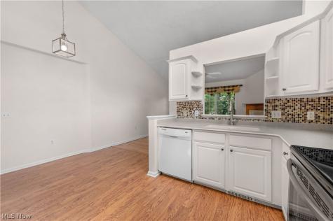 9097 Fern Cove E Olmsted Falls OH 44138