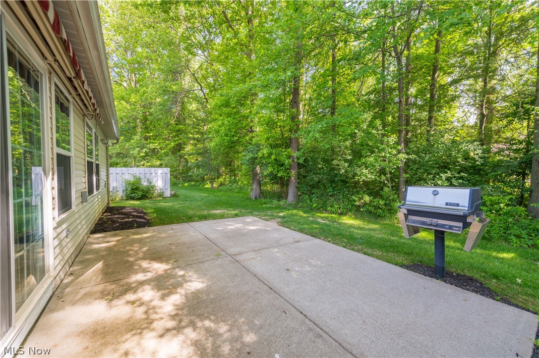 9097 Fern Cove E Olmsted Falls OH 44138