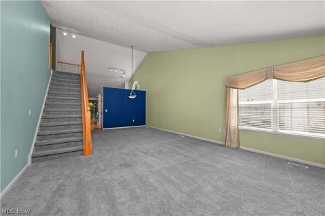 9097 Fern Cove E Olmsted Falls OH 44138