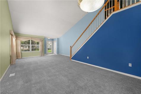 9097 Fern Cove E Olmsted Falls OH 44138