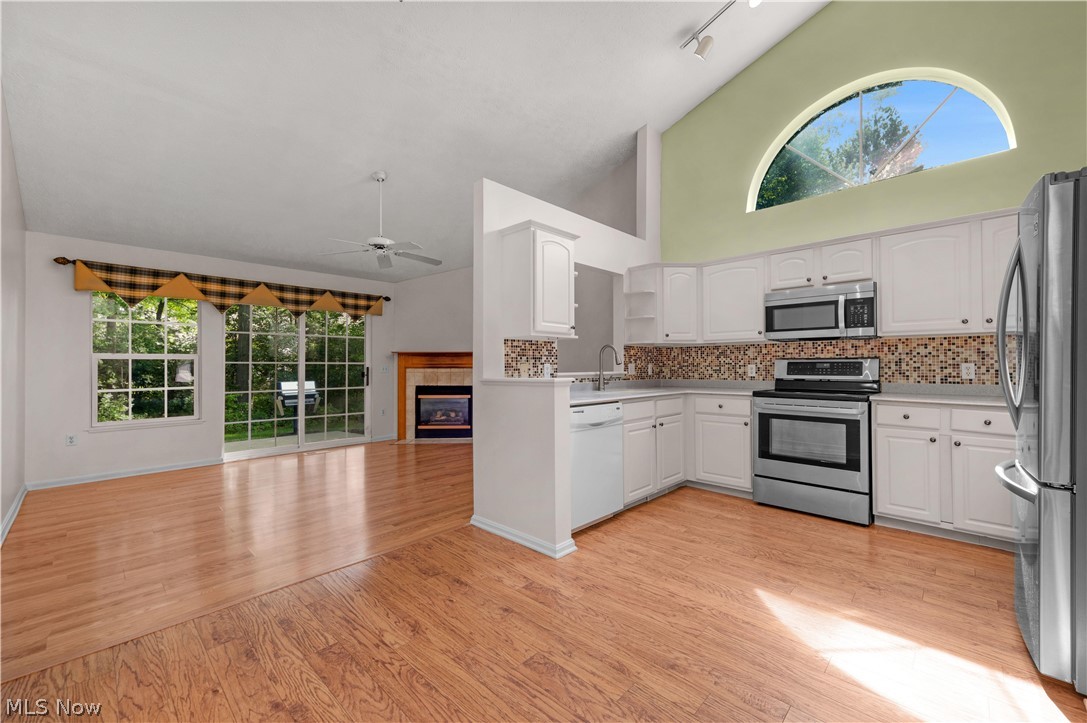 9097 Fern Cove E Olmsted Falls OH 44138