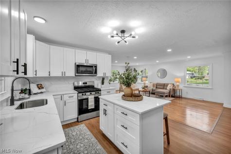 8556 Barbara Drive Mentor OH 44060