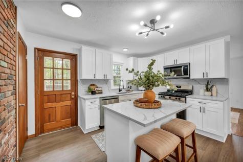 8556 Barbara Drive Mentor OH 44060