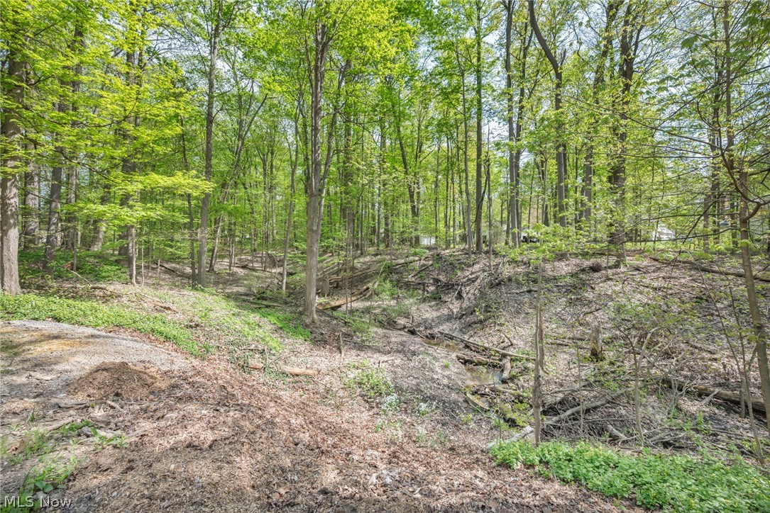 8556 Barbara Drive Mentor OH 44060