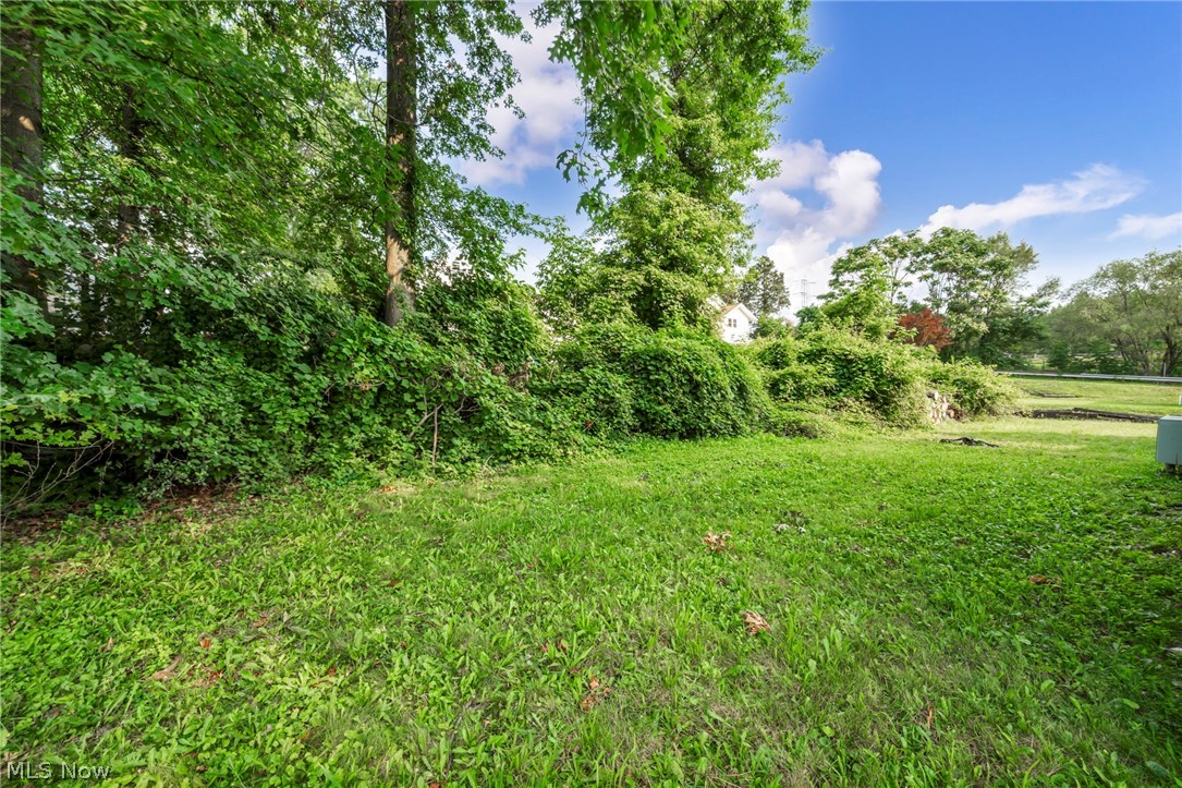 2680 Nesmith Lake Boulevard Akron OH 44314