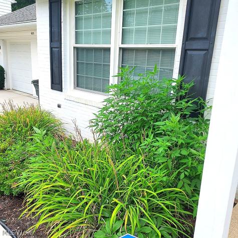 655 Cliffside Drive Akron OH 44313