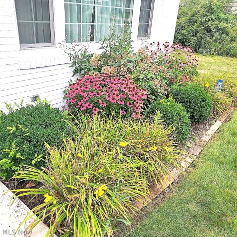 655 Cliffside Drive Akron OH 44313