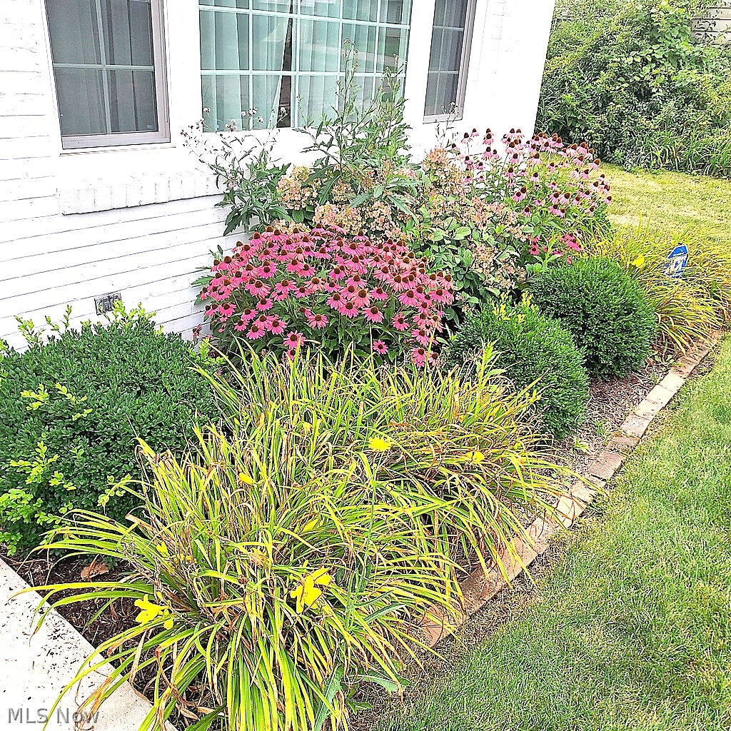655 Cliffside Drive Akron OH 44313