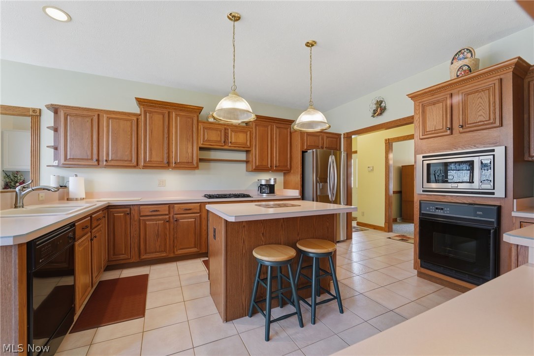 9525 Tanager Drive Chardon OH 44024