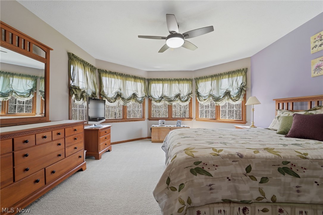 9525 Tanager Drive Chardon OH 44024