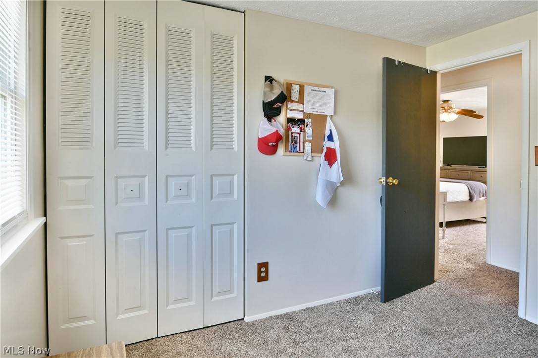2618 Elizabeth Drive SW Warren OH 44481