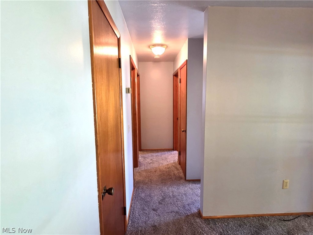 137 Richard Street Geneva OH 44041