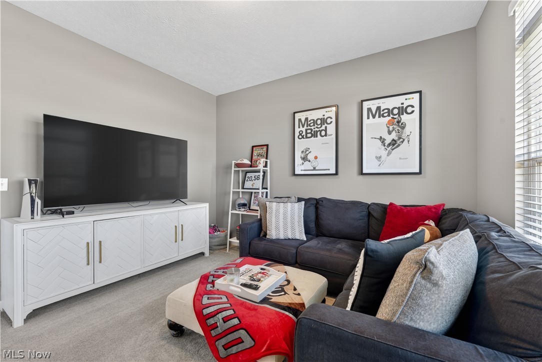 31901 Ballast Court Avon Lake OH 44012