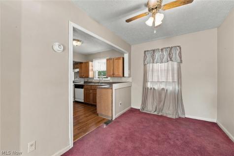 2150 Buena Vista Drive Wickliffe OH 44092