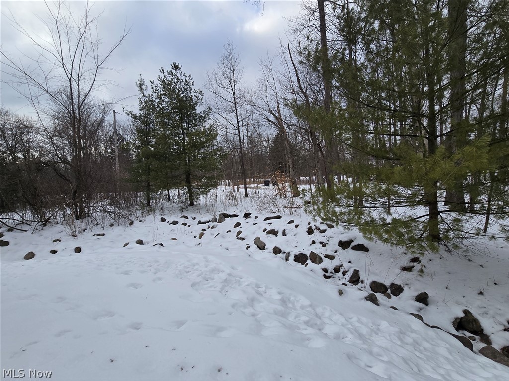 10236 Crystal Springs Drive North Royalton OH 44133