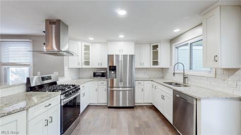3004 Monroe Avenue Cleveland OH 44113
