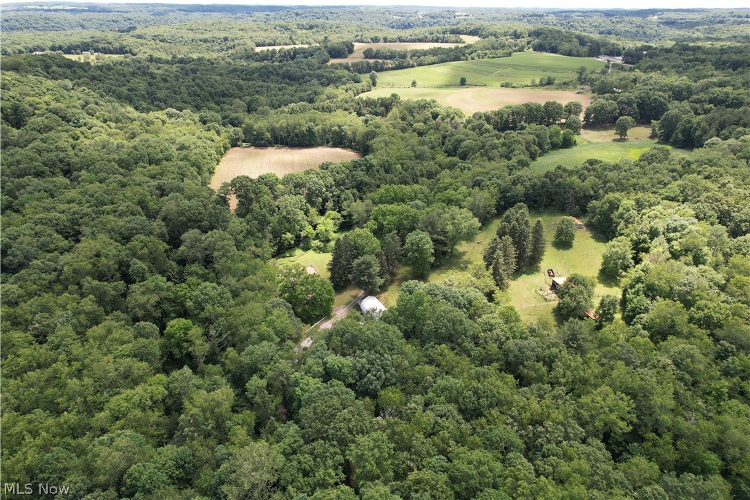 11811 Gaston Road Negley OH 44441