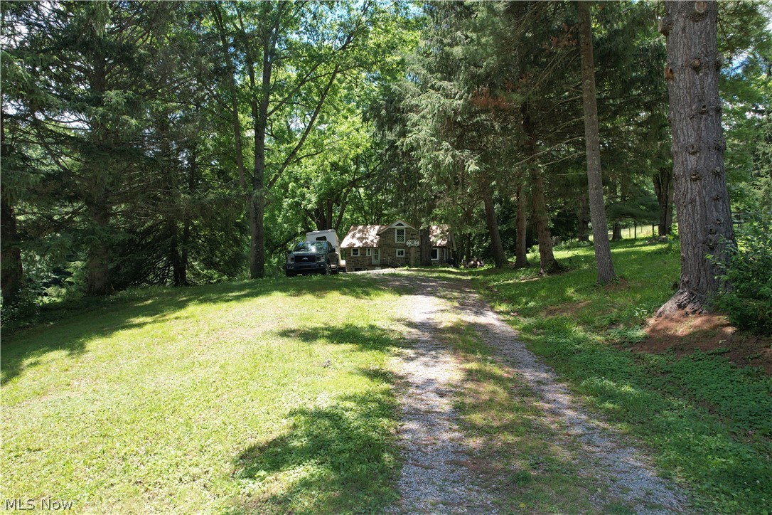 11811 Gaston Road Negley OH 44441