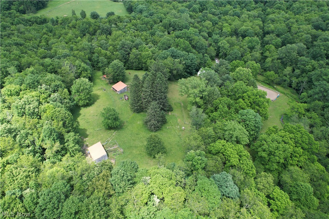 11811 Gaston Road Negley OH 44441