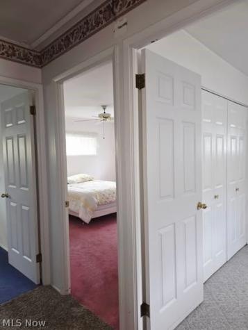 6416 Alderwood Road Parma Heights OH 44130